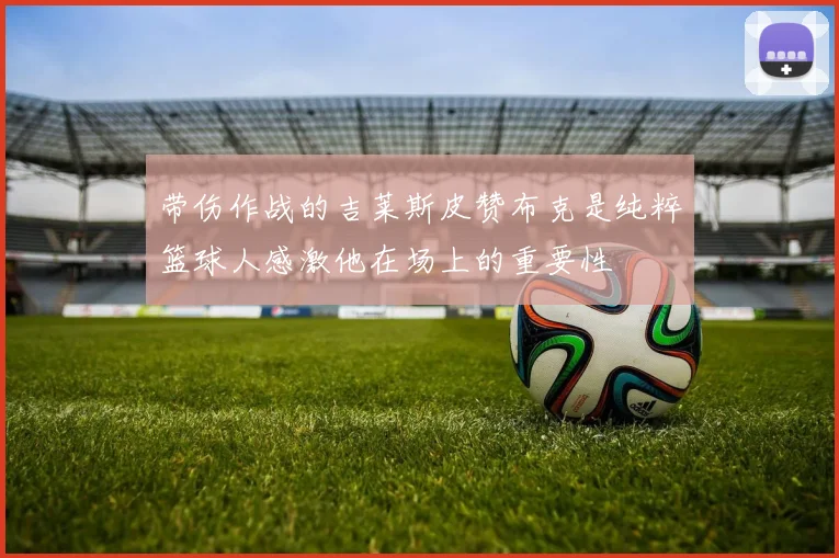 带伤作战的吉莱斯皮赞布克是纯粹篮球人感激他在场上的重要性