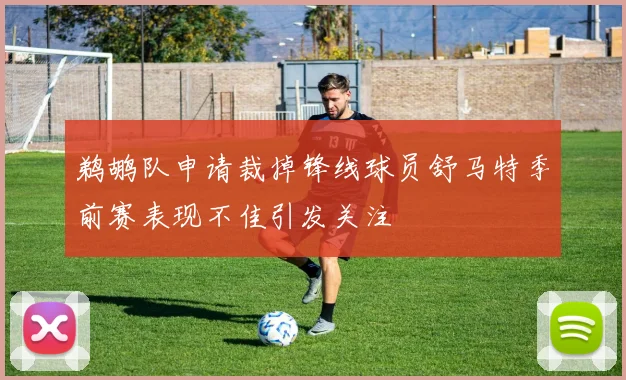 鹈鹕队申请裁掉锋线球员舒马特季前赛表现不佳引发关注